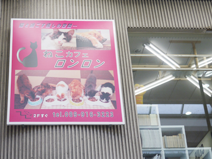 猫CAFE　ロンロン｜No.1